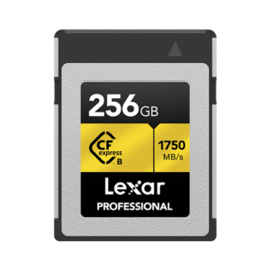 Professional CFexpress™ Type B Card -256GB